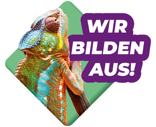 Jetzt durchstarten: Fischer und Kollegen bilden aus! Werde Teil unseres Teams und beginne deine Ausbildung in einer modernen und zukunftsorientierten Steuerkanzlei.